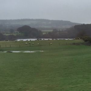 Meet your Posher, Iris